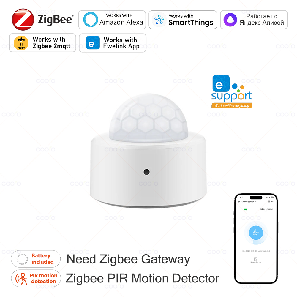 Zigbee Gateway - Zigbee Mini PIR Motion Sensor Human