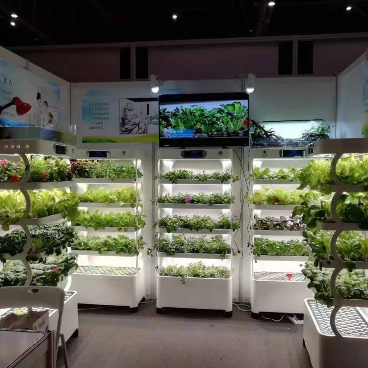 Intelligent Hydroponic Growing - مراجعة Smart Home System وسعره