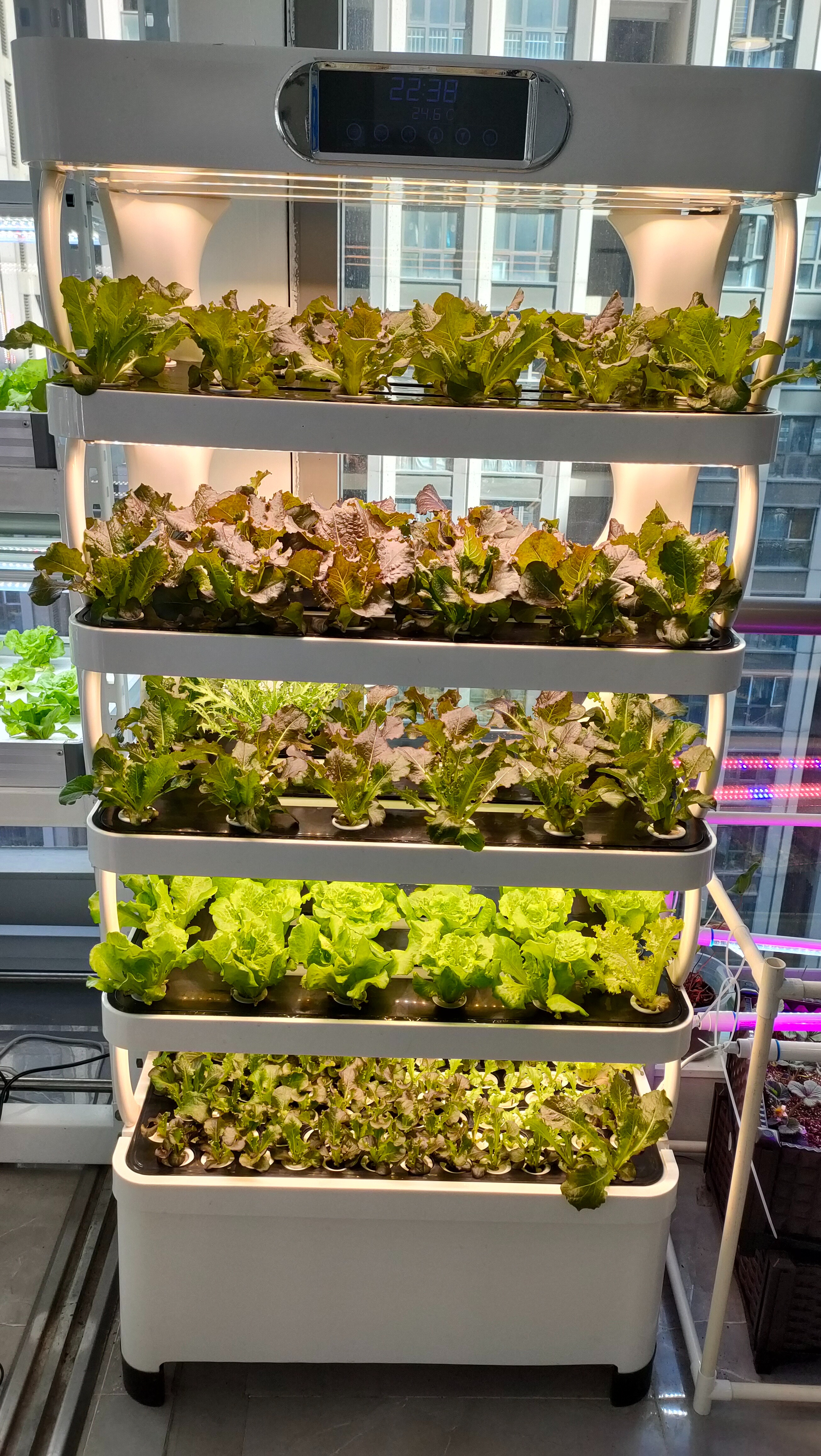 Intelligent Hydroponic Growing - مراجعة Smart Home System وسعره