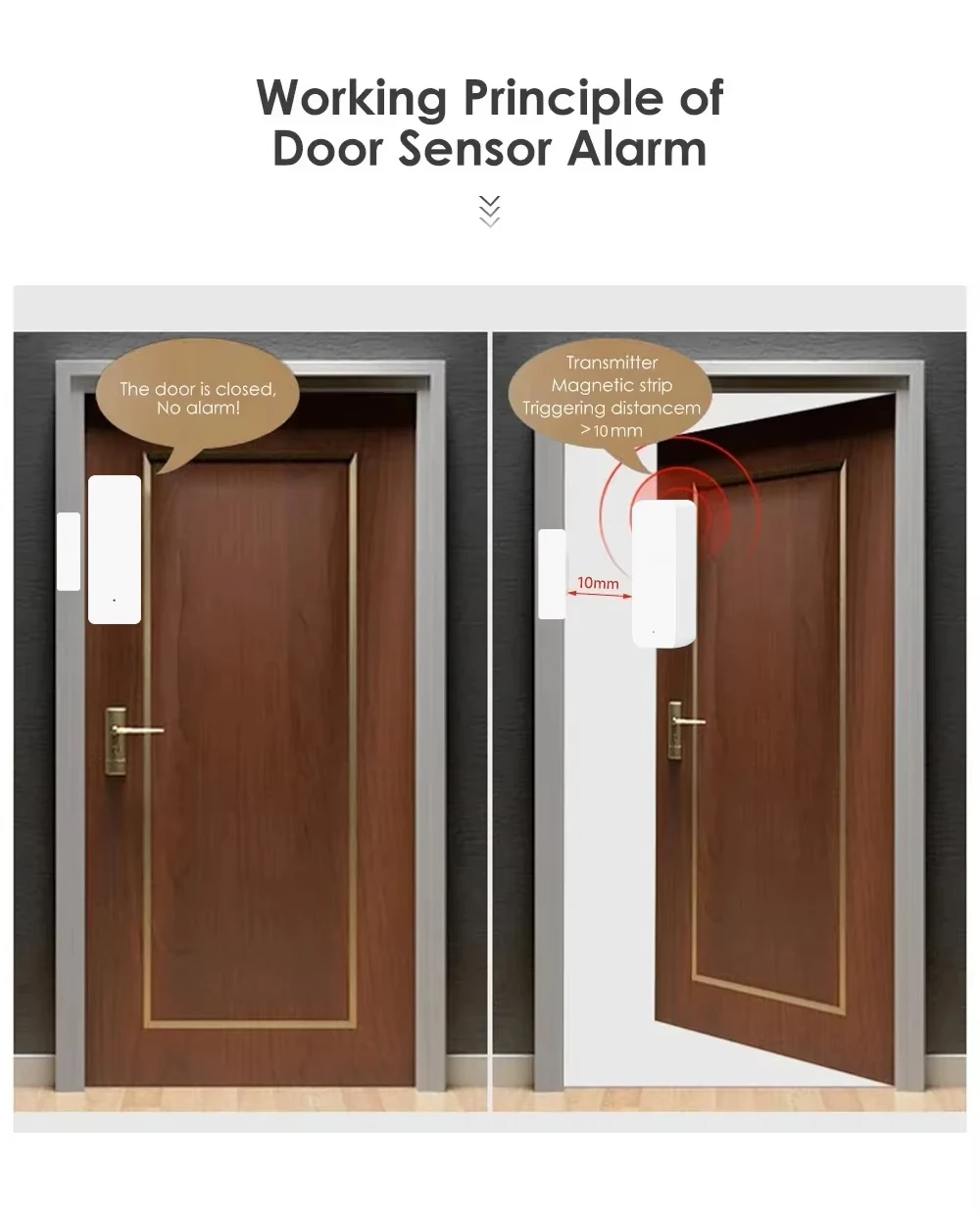 Tuya Zigbee/WiFi Magnetic Door - مراجعة Zigbee Gateway وسعره