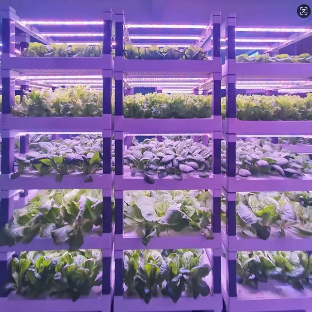 Hydroponic Grow System Greenho - مراجعة Smart Home System وسعره